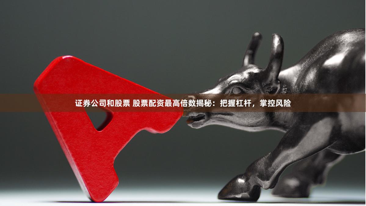 证券公司和股票 股票配资最高倍数揭秘：把握杠杆，掌控风险