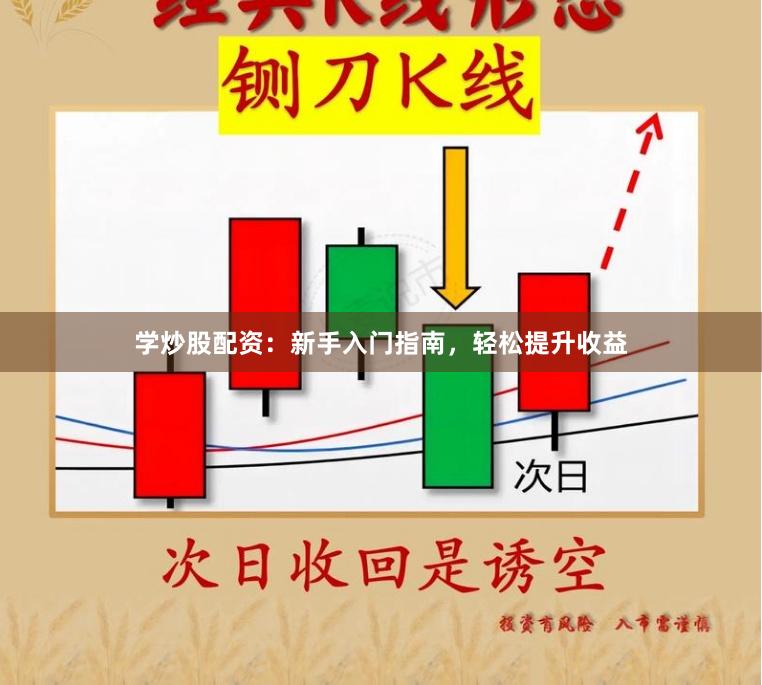 学炒股配资：新手入门指南，轻松提升收益