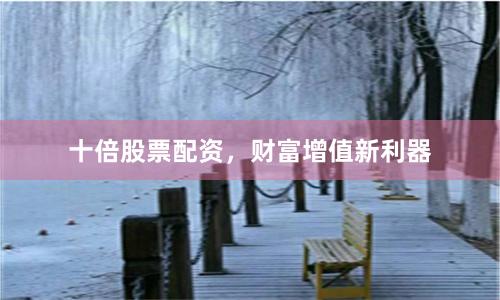 十倍股票配资，财富增值新利器